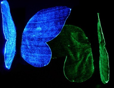 3H FiberOpticFabric collection_1-40_1476395218